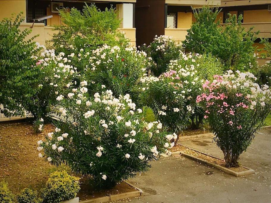 Apartment With Private Parking - Roma Est. Lunghezza Dış mekan fotoğraf